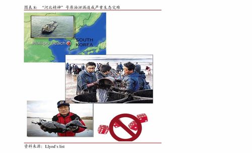 深耕行业，专业服务 明源云（0909.HK）打造地产信息化龙头