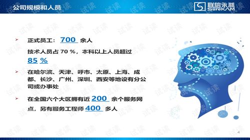 系统集成与软件开发 现代企业数字化转型的双引擎